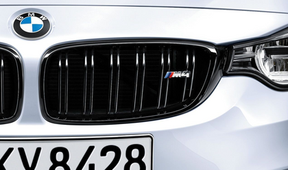 BMW Genuine M Performance Bumper Radiator Grill Black N/S