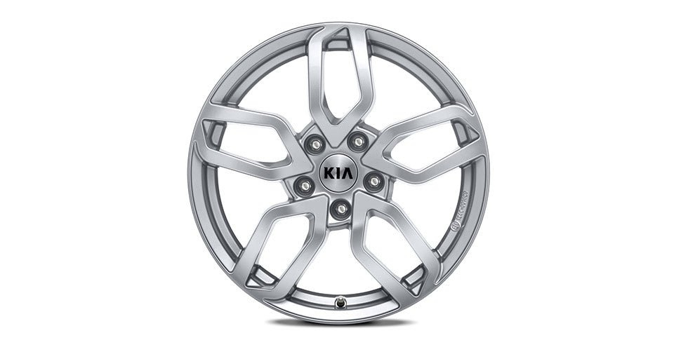 Kia Alloy Wheel Kit