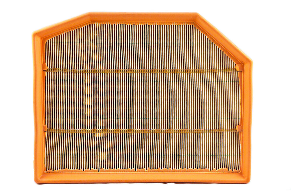 BMW Genuine Air Filter Element