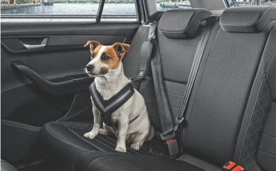 SKODA Dog safety belt - "S"