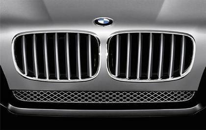 BMW Genuine Front Right Kidney Grille Titanium