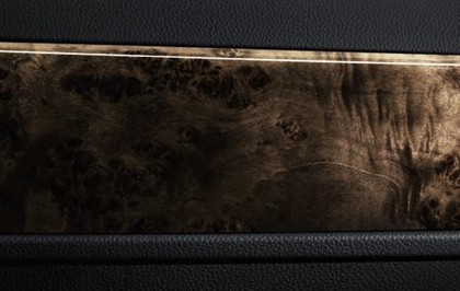 BMW Genuine Interior Door Handle Cover Front Left