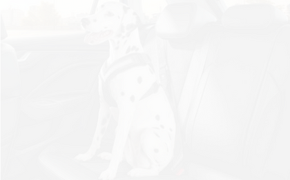 SKODA Dog safety belt -
