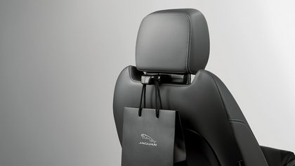 Jaguar Click and Go - Hook