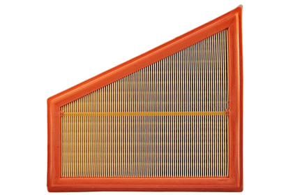 BMW Genuine Air Filter Element