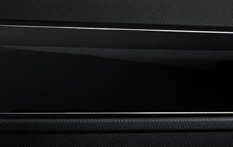 BMW Genuine Interior Door Trim Strip Front Left