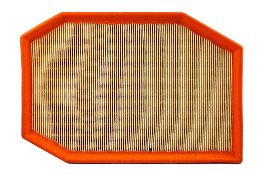 BMW Genuine Air Filter Element