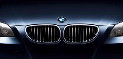 BMW Genuine Front Left Kidney Grille Chrome
