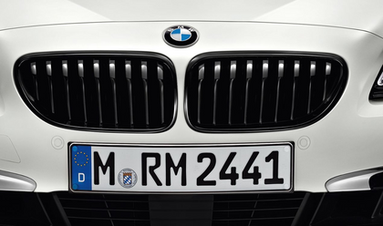 BMW Genuine M Performance Front Left Grille Trim Gloss Black
