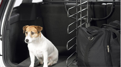 Volvo Cargo Divider