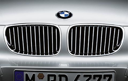 BMW Genuine M Sport Front Left Trim Kidney Grille Chrome