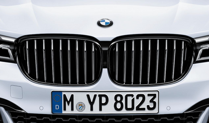 BMW Genuine M Performance Bumper Radiator Grille Black N/S