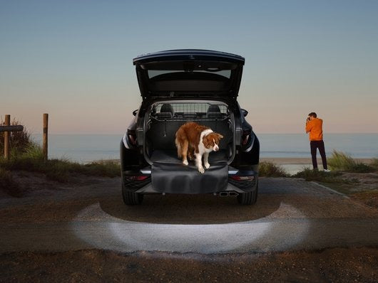 Hyundai Dog Guard - Tucson