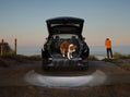 Hyundai Dog Guard - Tucson