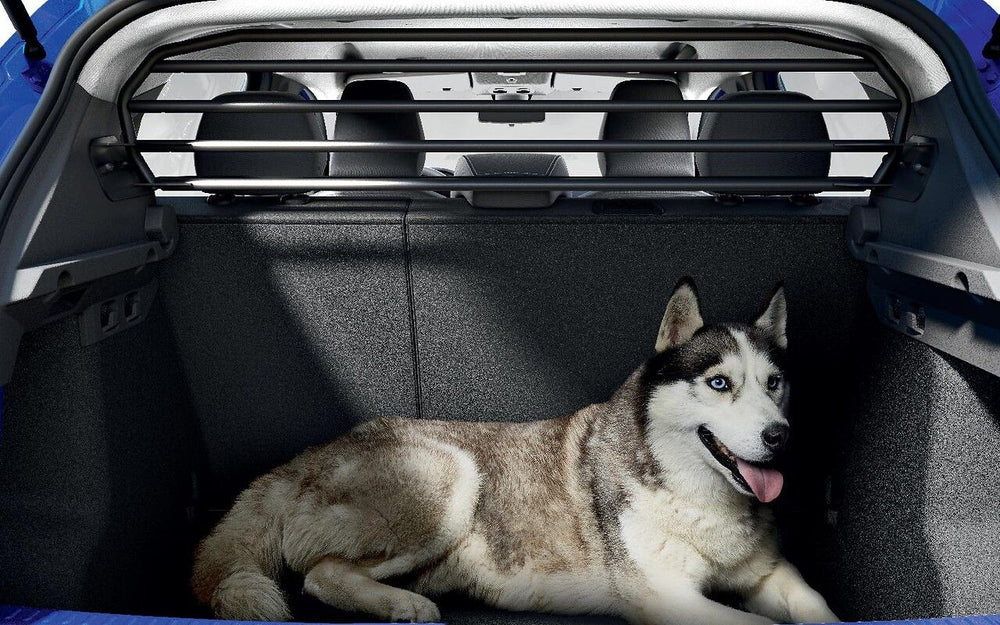 Dacia Dog Guard / Partition Grille - Dacia Sandero III / Stepway III