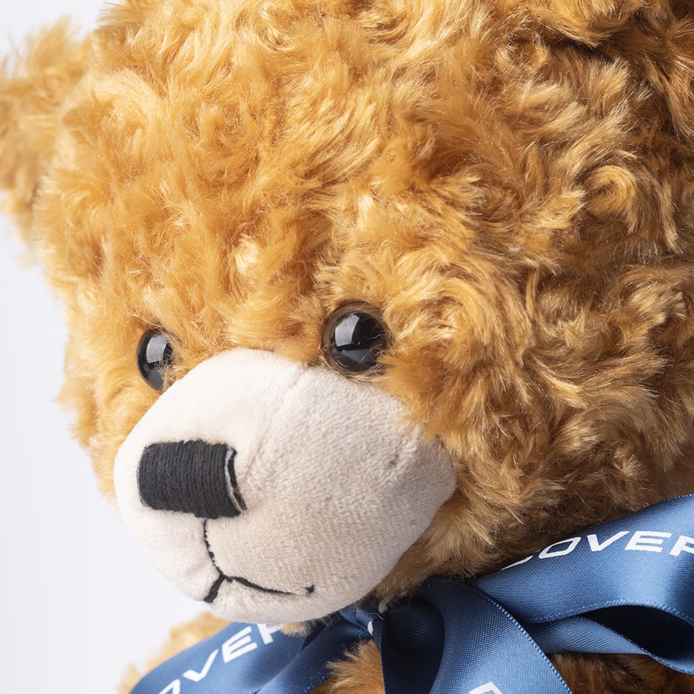 Land Rover Discovery Bear