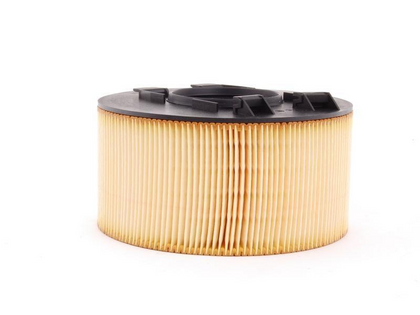 BMW Genuine Air Filter Element