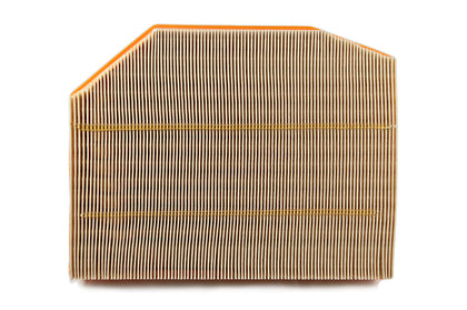 BMW Genuine Air Filter Element