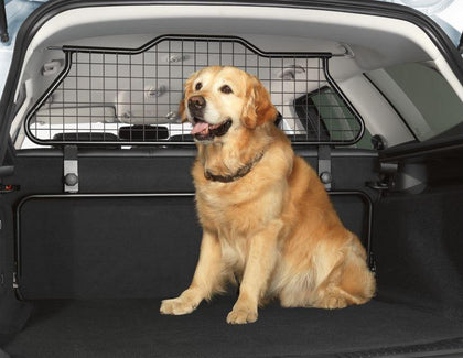 Ford Dog Guards Genuine Accessories Park s Motor Group