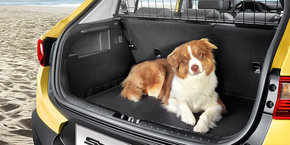 Kia Cargo Separator