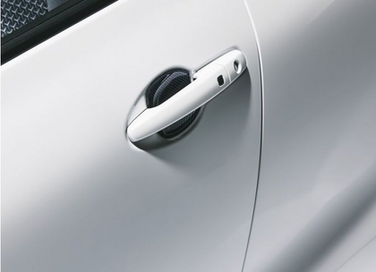 Suzuki Door Handle Escutcheon - Carbon