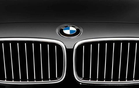 BMW Genuine Front Left Kidney Grille Luxury Line