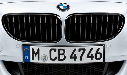 BMW M Performance Genuine Front Left Kidney Grille Black