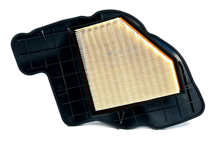 BMW Genuine Air Filter Element