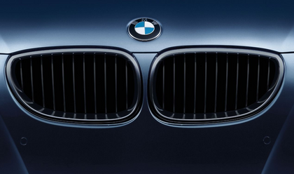 BMW Genuine Front Left Grille Black