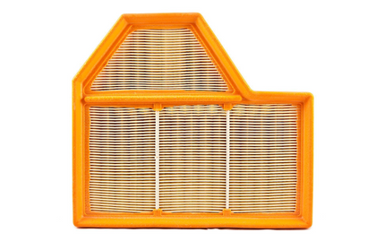 BMW Genuine Right Air Filter Element