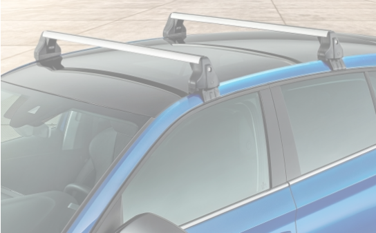 Skoda scala roof bars sale