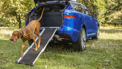 Jaguar Pet Access Ramp