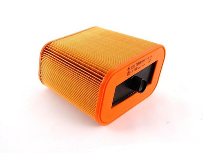 BMW Genuine Air Filter Element