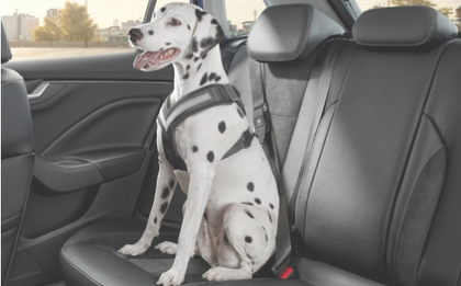 SKODA Dog safety belt - 