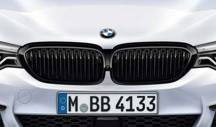 BMW Genuine M Performance Front Left Kidney Grilles Black