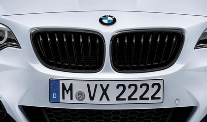 BMW Genuine M Performance Front Left Grille Trim Gloss Black