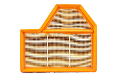 BMW Genuine Left Air Filter Element