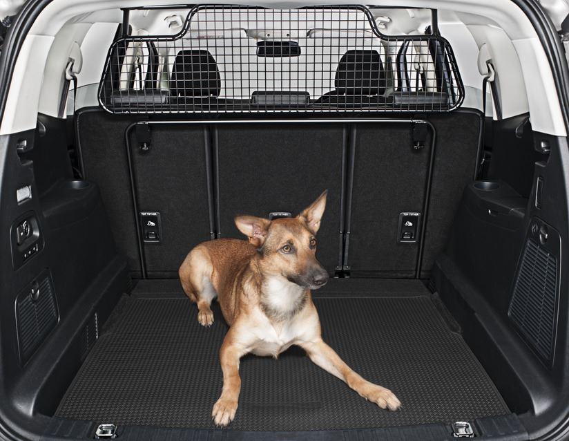 Ford s hot sale max dog guard