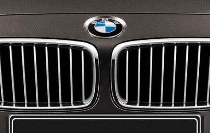 BMW Genuine Front Left Trim Kidney Grille Modern