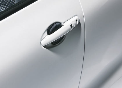 Suzuki Door Handle Escutcheon - Carbon