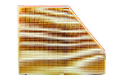 BMW Genuine Air Filter Element