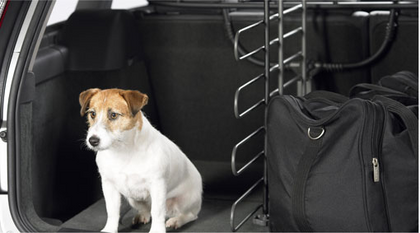 Volvo Horizontal Load Divider