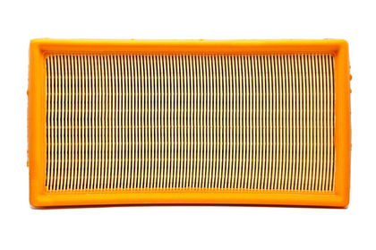 BMW Genuine Left Air Filter Element