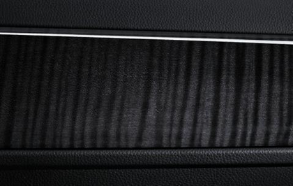 BMW Genuine Interior Door Handle Cover Front Left