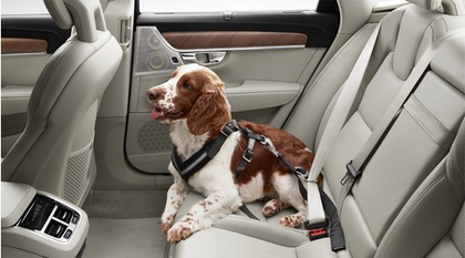 Volvo Dog harness