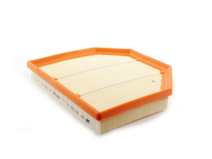 BMW Genuine Air Filter Element