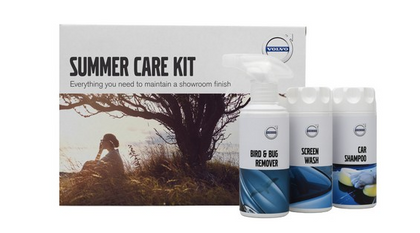 Volvo car cleaning clearance kit