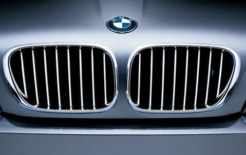BMW Genuine Front Left Kidney Grille Panel Trim Titanium
