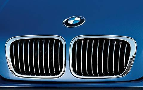 BMW Genuine Front Left Kidney Grille Chrome