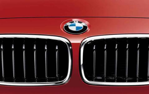 BMW Genuine Front Left Kidney Grille Sport